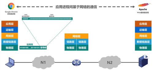 計算機網絡體系結構與計算機數據服務